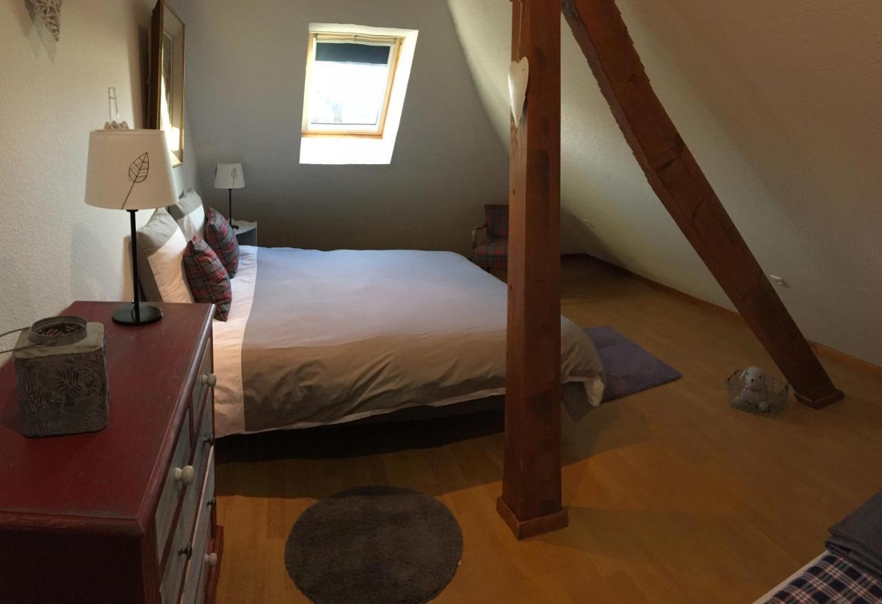 Les Appartements D'Estelle La Petite-Pierre Eksteriør billede
