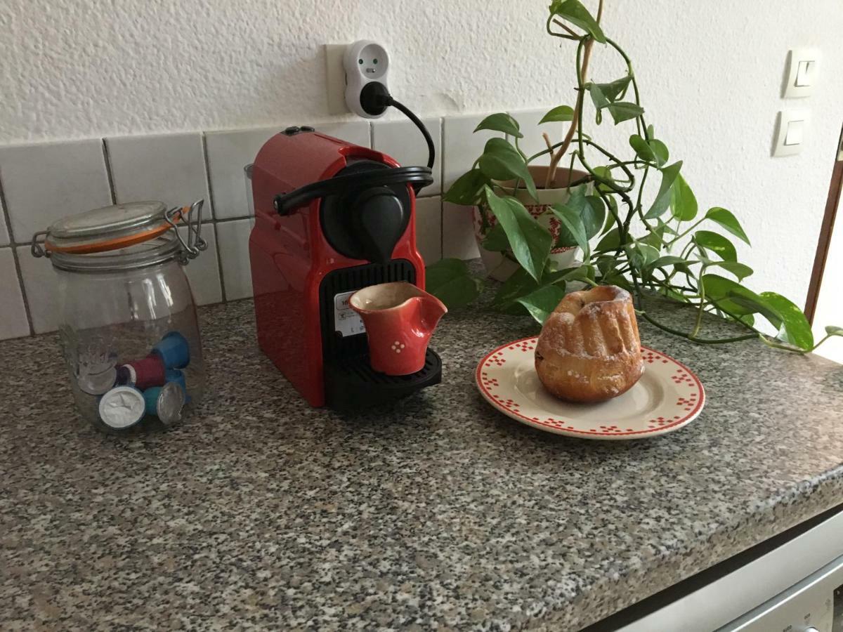 Les Appartements D'Estelle La Petite-Pierre Eksteriør billede