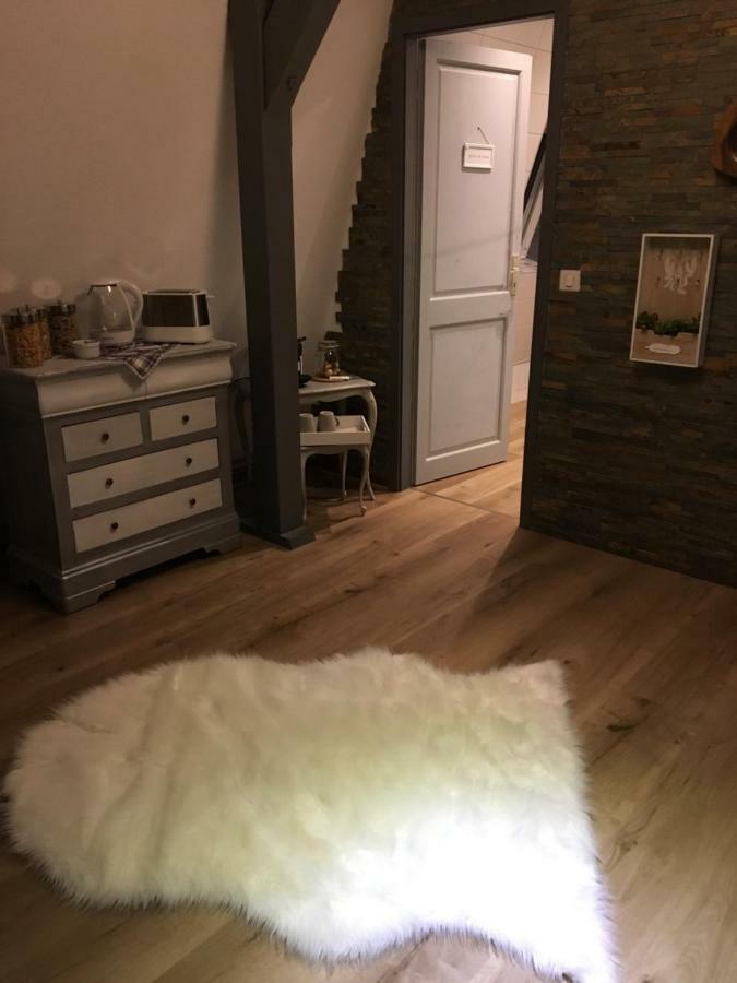 Les Appartements D'Estelle La Petite-Pierre Eksteriør billede