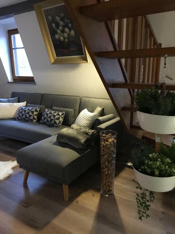 Les Appartements D'Estelle La Petite-Pierre Eksteriør billede